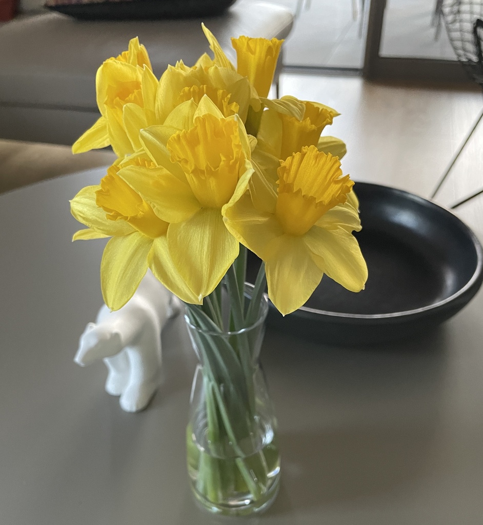 2 x Mini wijn karaf (25 cl)